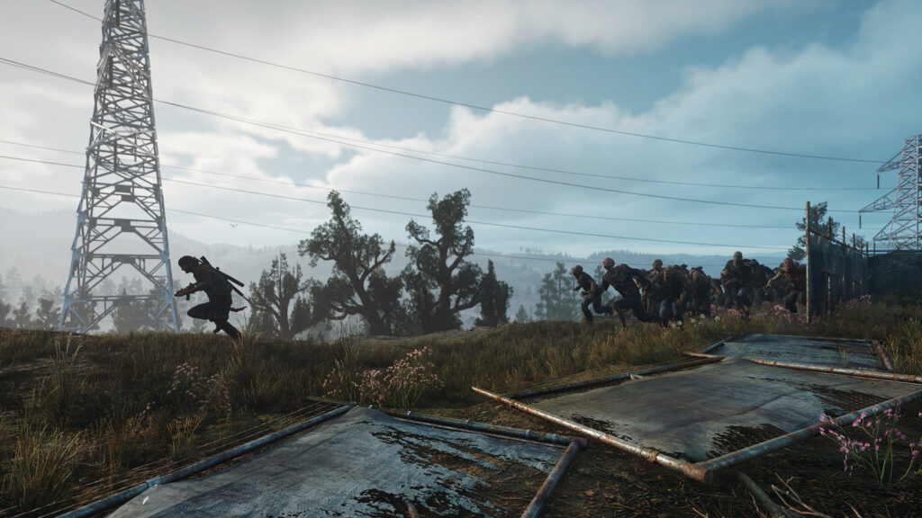 Days Gone Remastered — PC Steam Offline